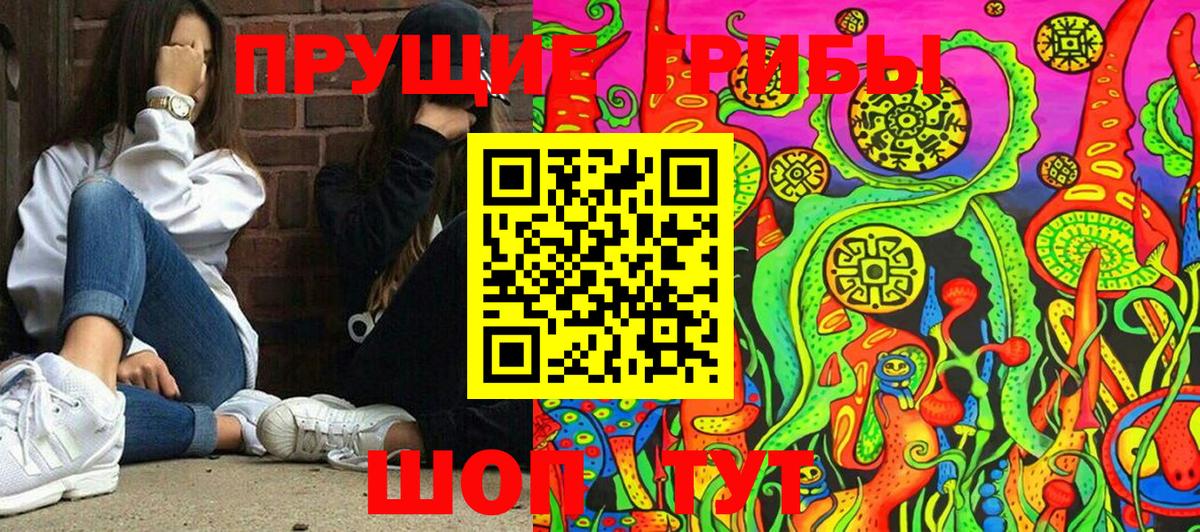 Галлюциногенные грибы прущие грибы Унеча