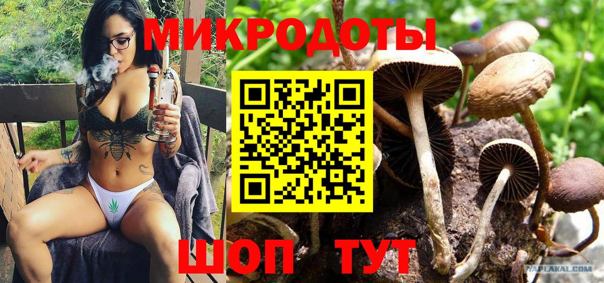 Галлюциногенные грибы Magic Shrooms  Псилоцибиновые грибы MAGIC MUSHROOMS  Унеча  Вход с VPN 